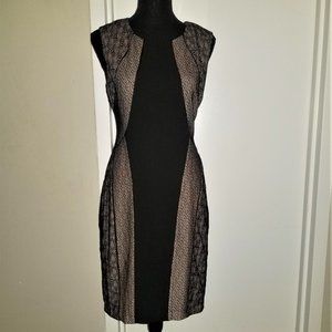 BCBG Black/Lace Overlay Shift Dress - 6